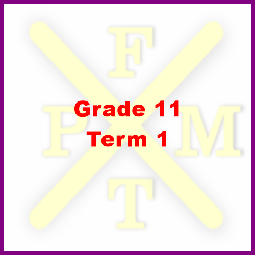 Grade 11 Term 1